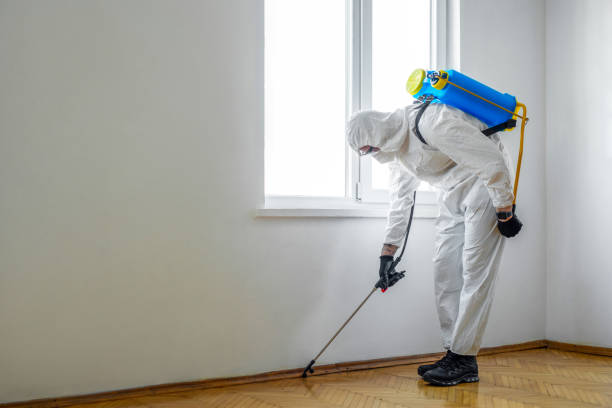 Best Mosquito Control Services  in Anchorage, KY