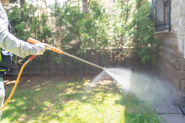 Reliable Anchorage, KY Pest Control Solutions