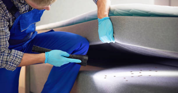 Best Pest Prevention Services  in Anchorage, KY
