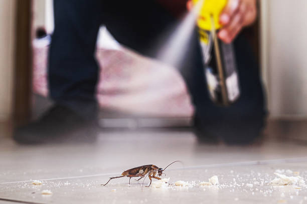 Best Commercial Pest Control Services  in Anchorage, KY